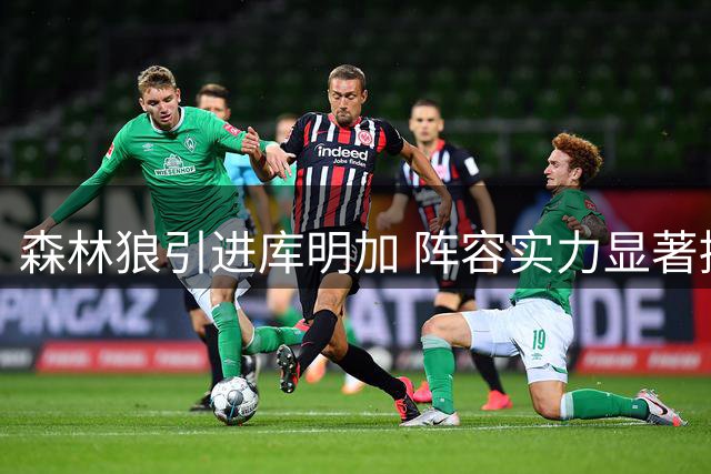 森林狼引进库明加 阵容实力显著提升